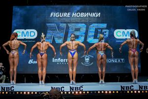 FIGURE НОВИЧКИ